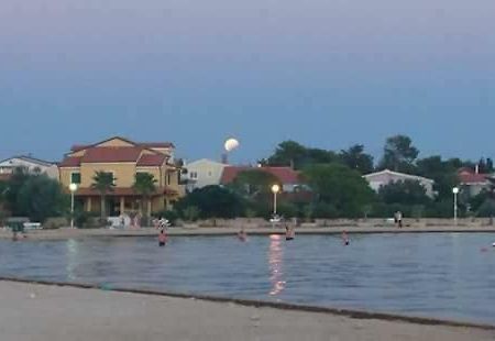 Apartmani Ana Vir Esterno foto
