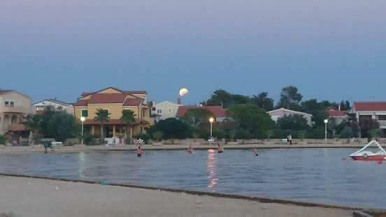 Apartmani Ana Vir Esterno foto